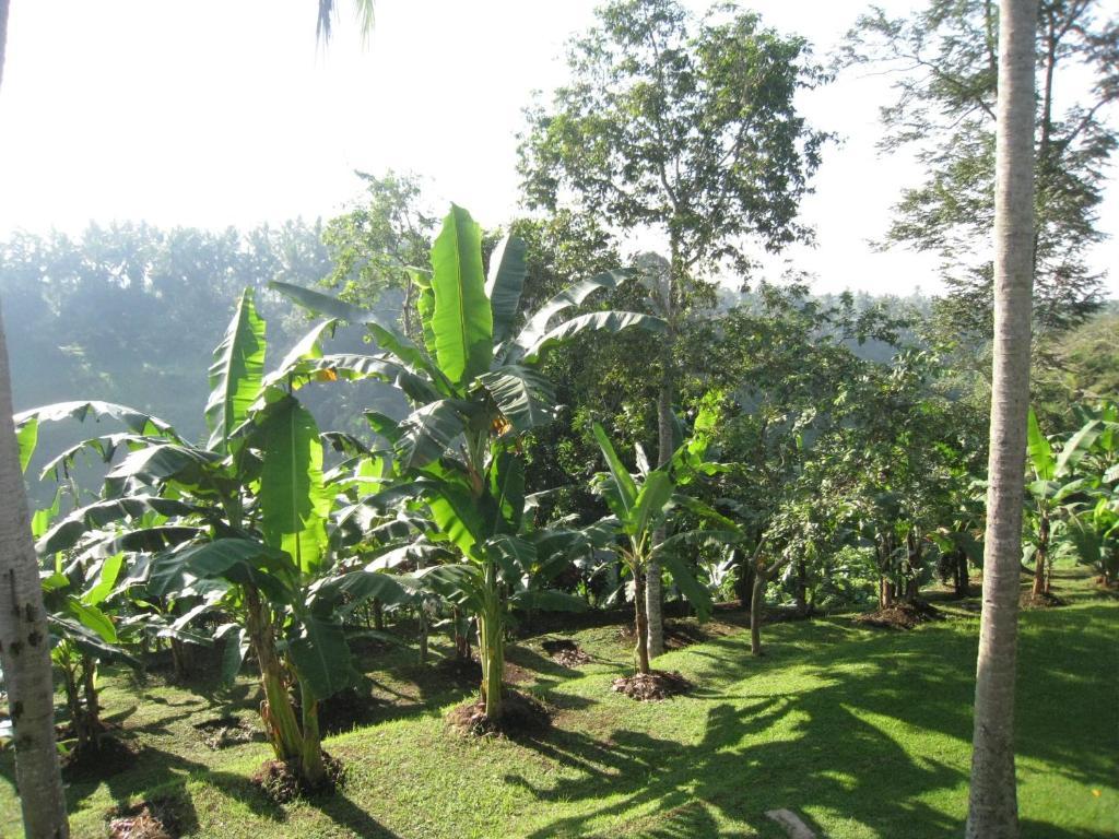 Sanggingan Villa Ubud  Phòng bức ảnh